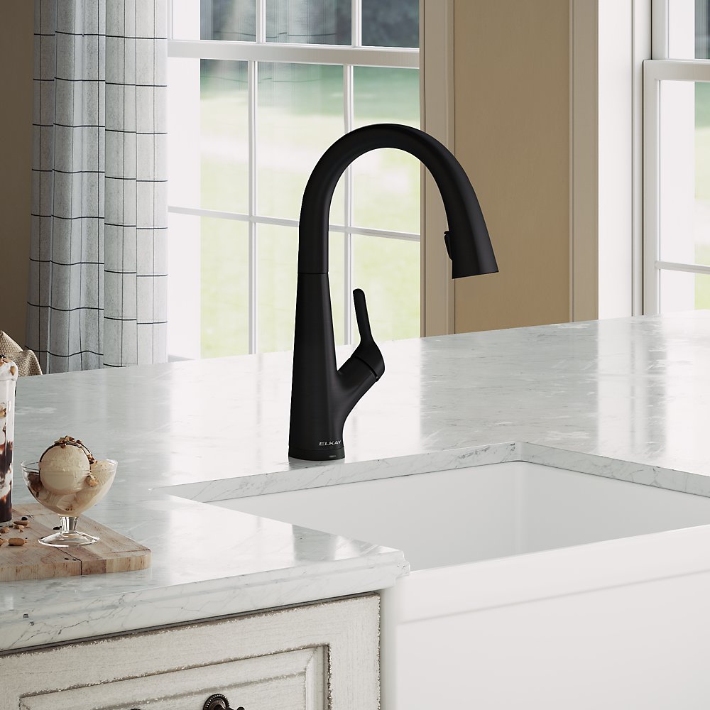 Elkay Avado Single Hole 2-in-1 Matte Black Kitchen Faucet with Filtered Drinking Water