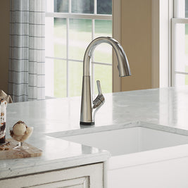 Elkay Avado Single Hole 2-in-1 Chrome Kitchen Faucet with Filtered Drinking Water