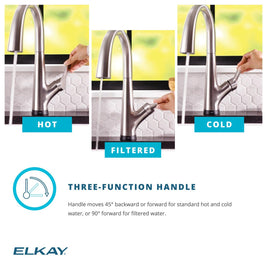 Elkay Avado Single Hole 2-in-1 Matte Black Kitchen Faucet with Filtered Drinking Water