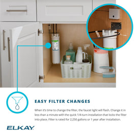Elkay Avado Single Hole 2-in-1 Chrome Kitchen Faucet with Filtered Drinking Water