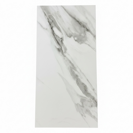 White Prcelain 24 X 48
