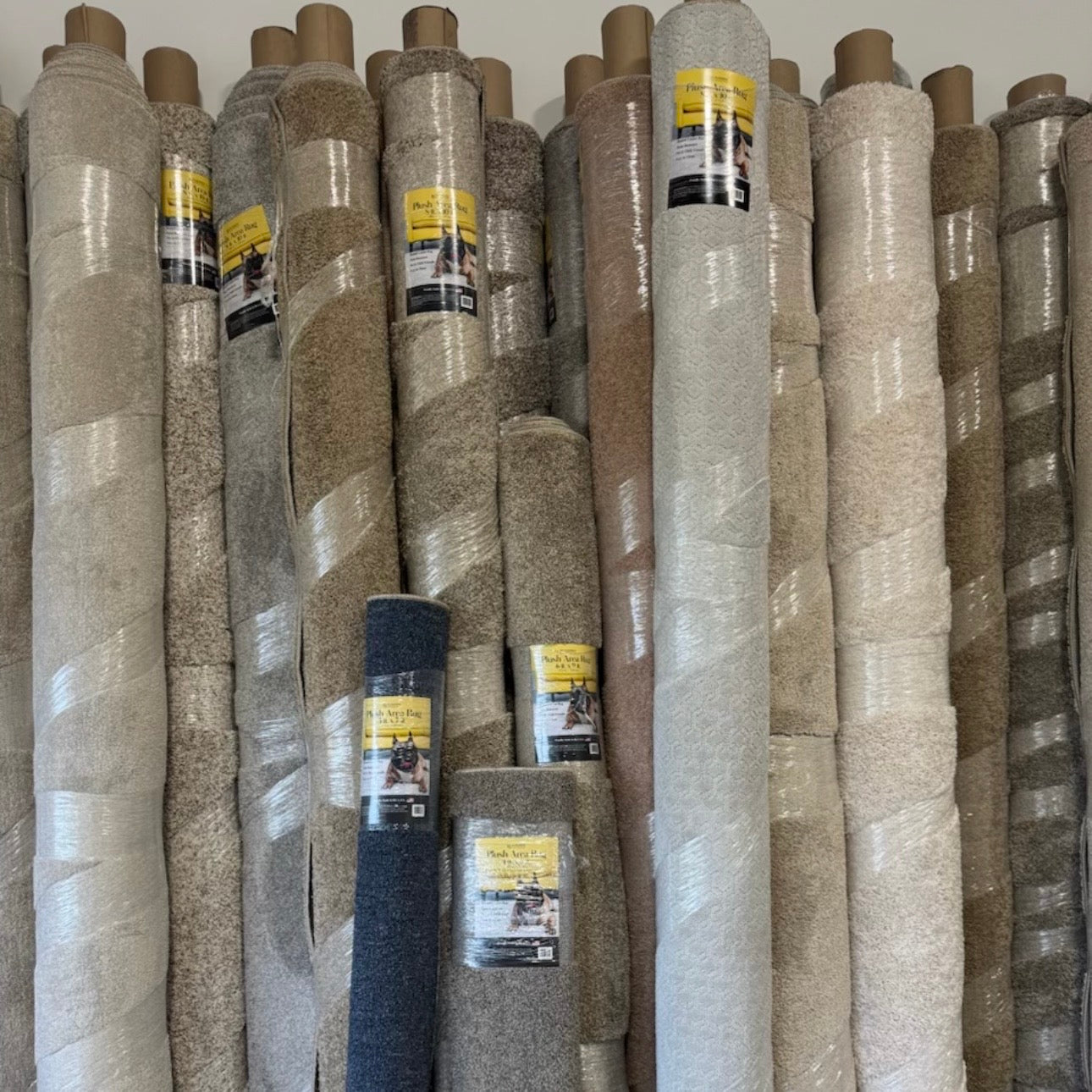 Area Rugs - 2 X 6