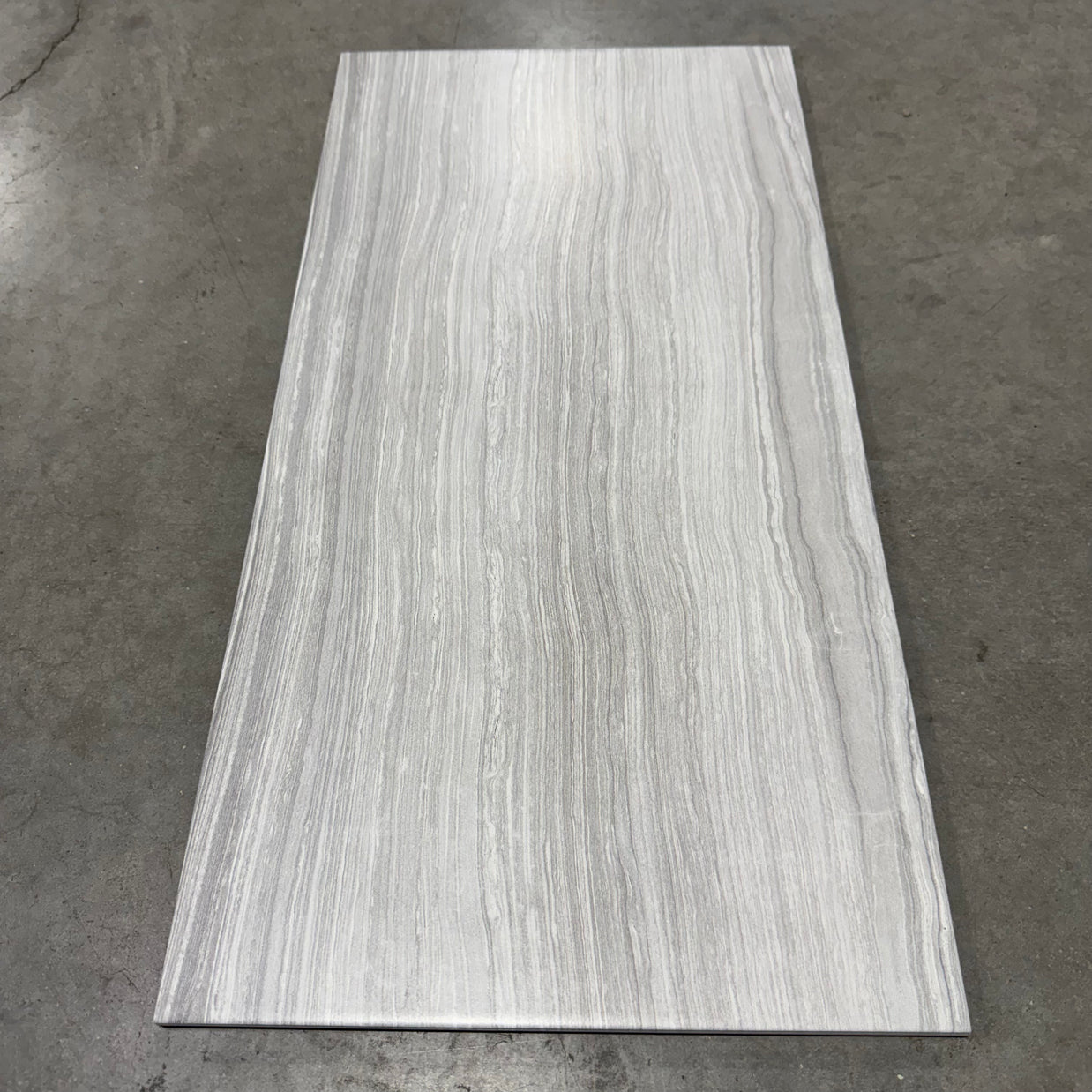 Porcelain Tile - Eramosa Ice Matte - 12X24