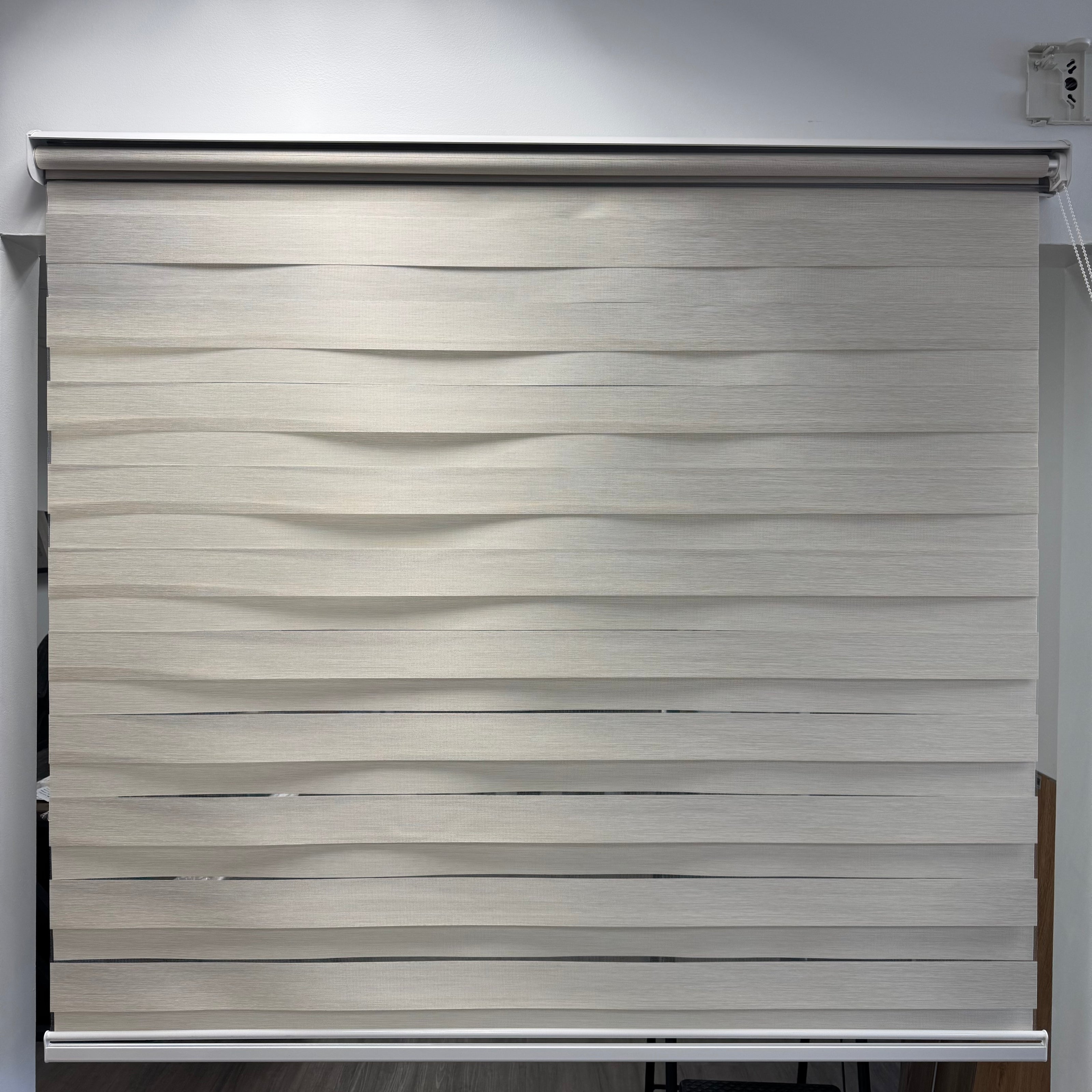 Zebra Blinds
