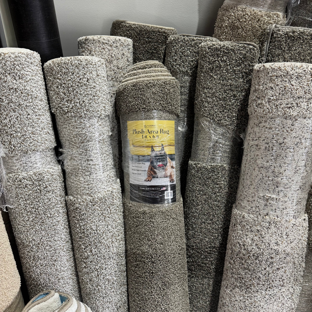 Area Rugs - 4 X 6