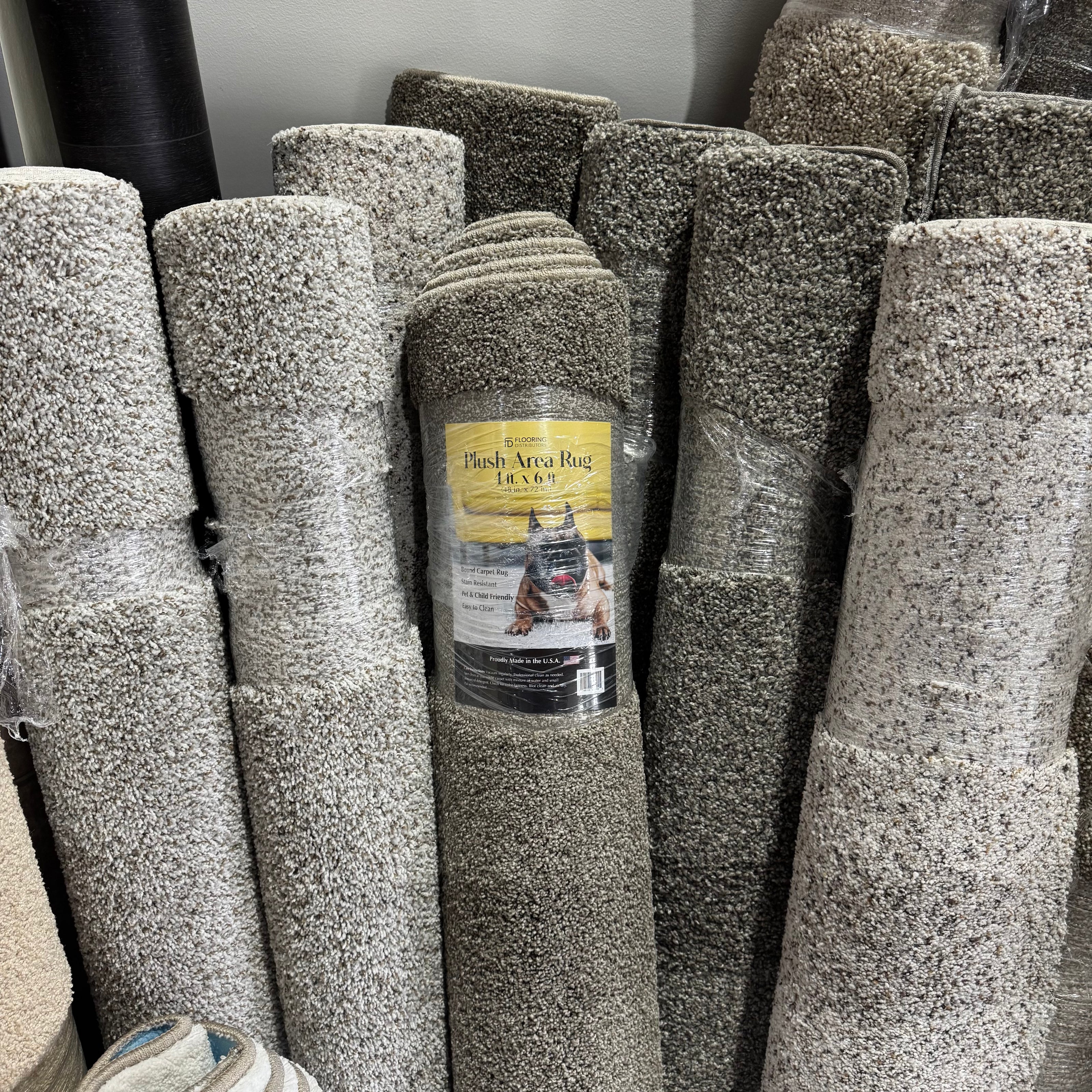 Area Rugs - 4 X 6