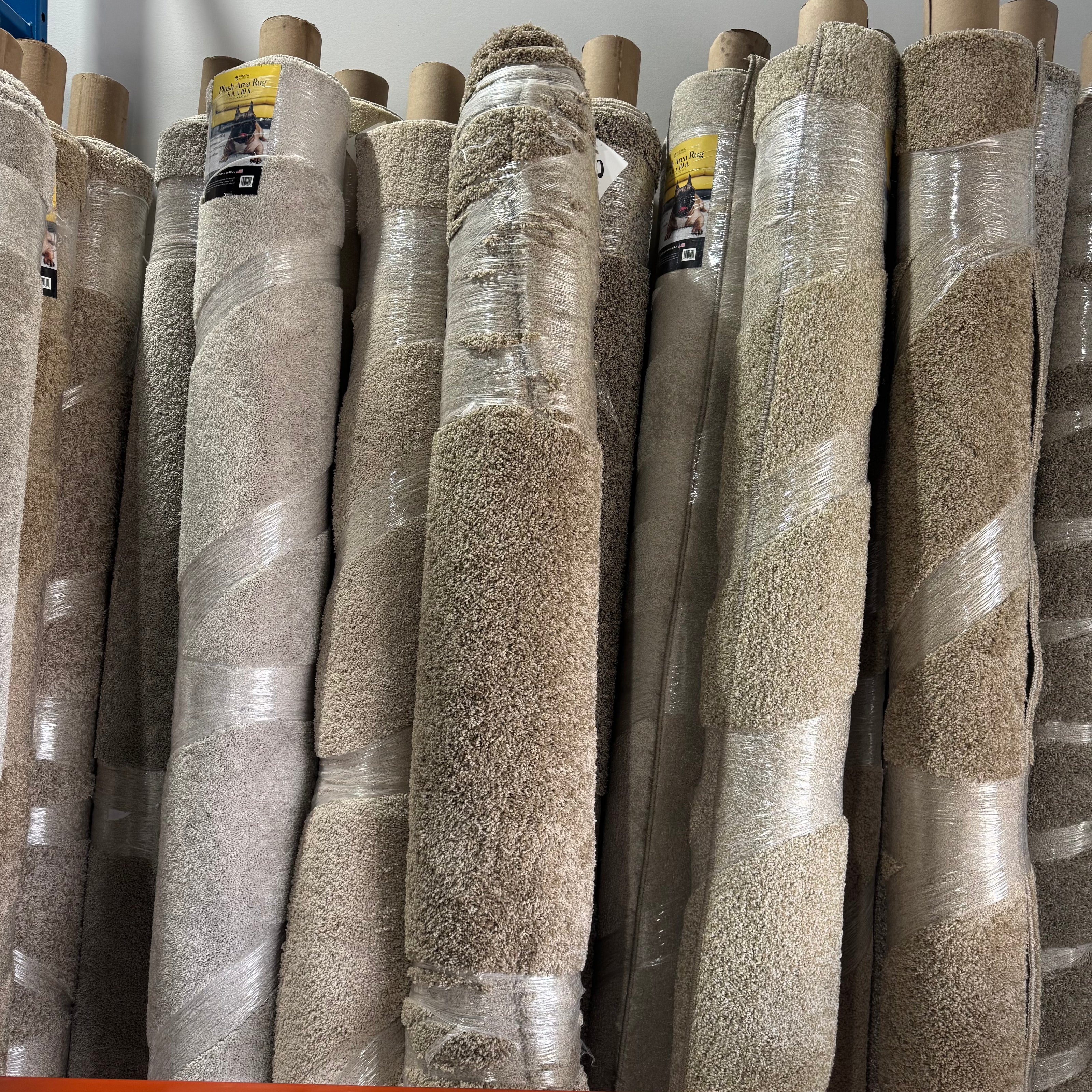 Area Rugs - 8 X 10